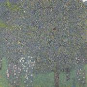 Gustav Klimt Rose Bushes Under the Trees (mk20)